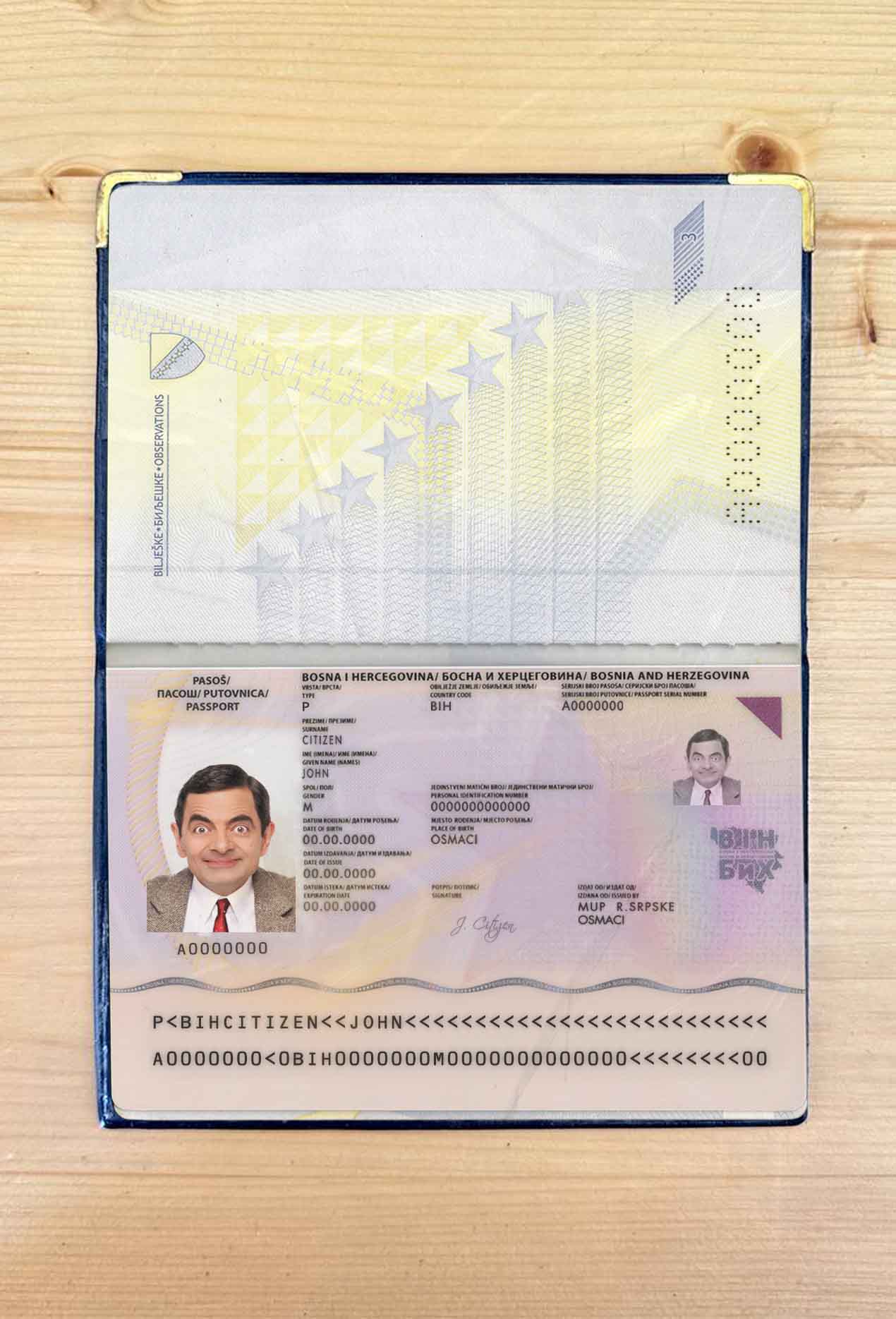 bosnia-and-herzegovina passport
